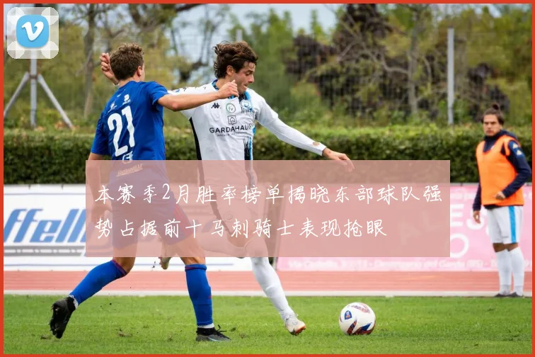 本赛季2月胜率榜单揭晓东部球队强势占据前十马刺骑士表现抢眼