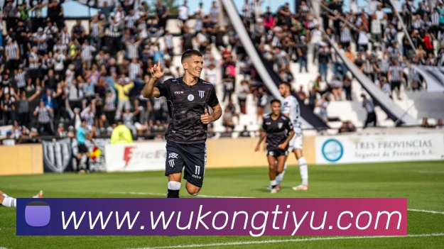 悟空体育平台生态图