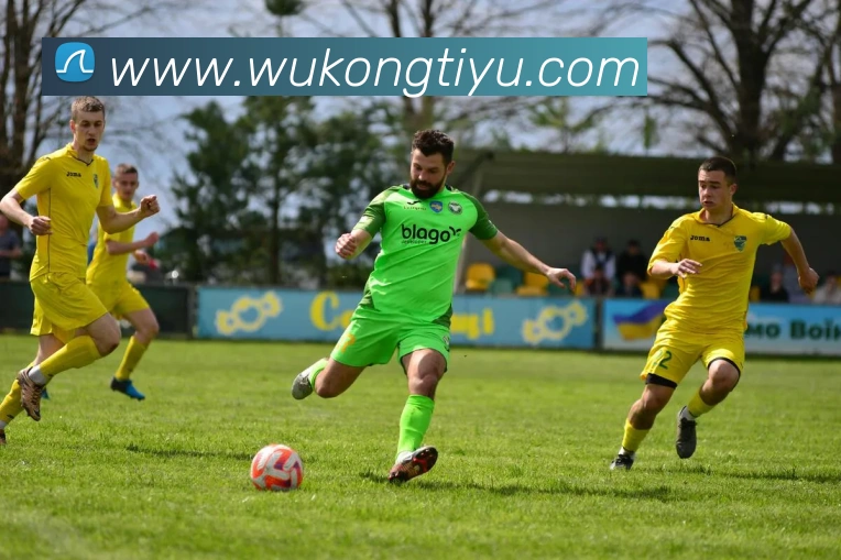 悟空体育APP 封面图